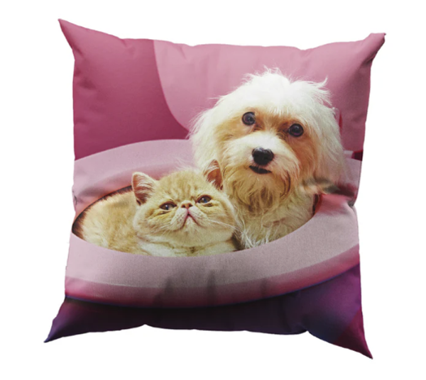 TP Pets Cushions "BFF"