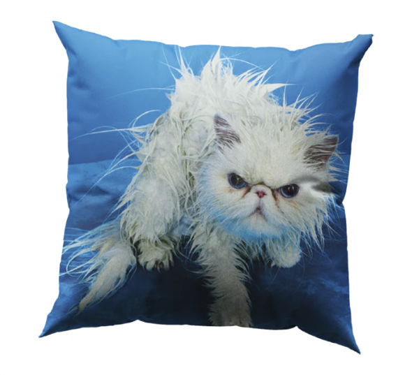 TP Pets Cushions "ANGRY CAT"