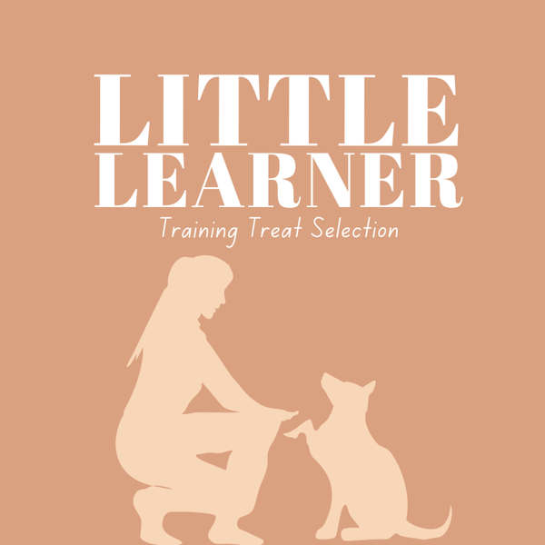 Little Learner Box