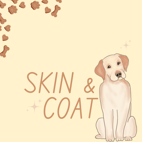 Skin & Coat Box