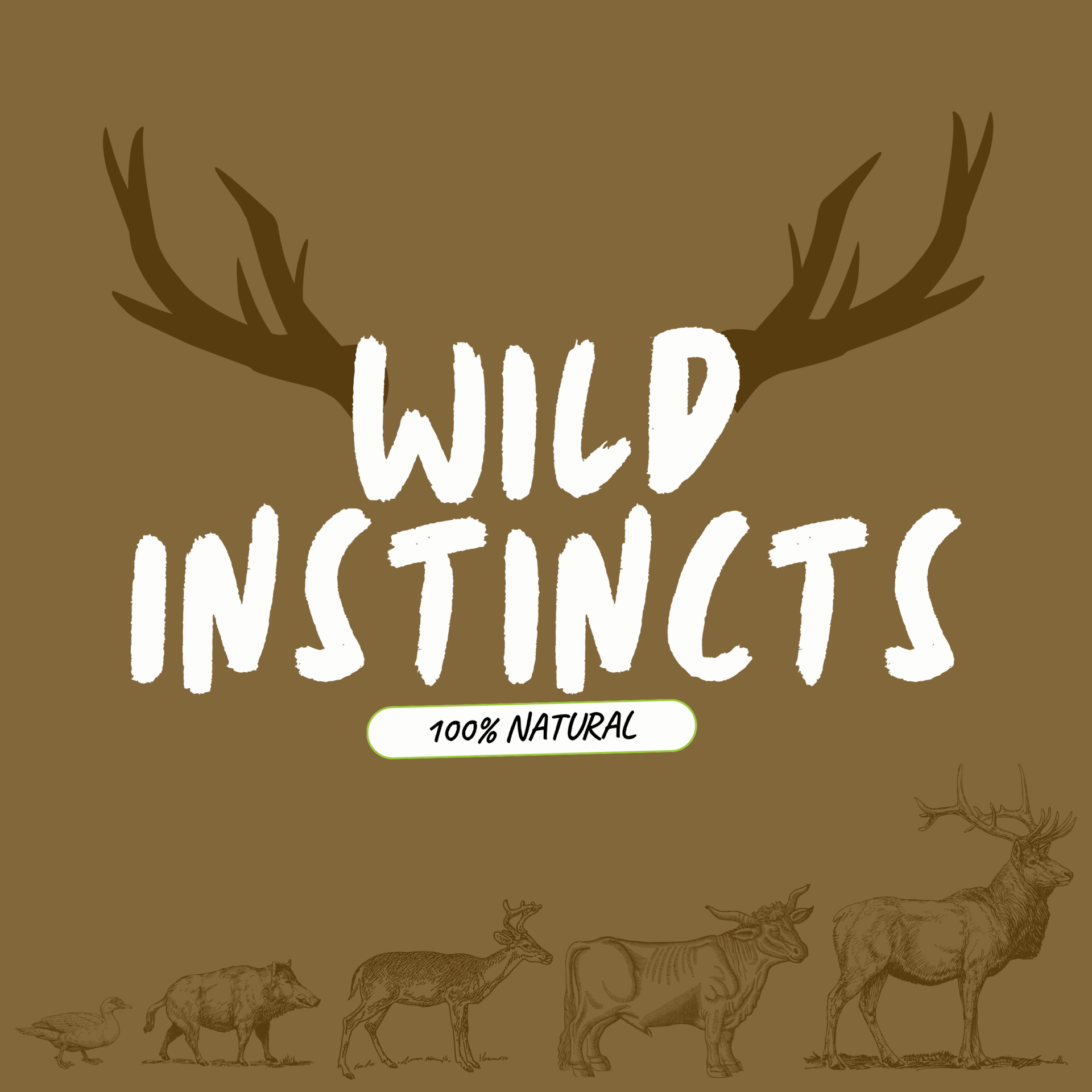Wild Instincts Box