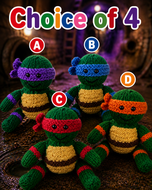 NINJA TURTLES INSPIRED