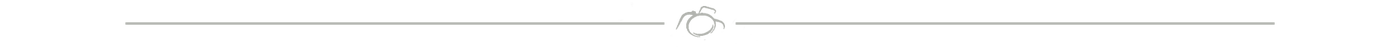 Logo lijn bart van der Aa Fotografie
