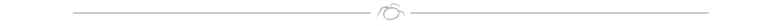 Logo in lijn Bart van der Aa fotografie