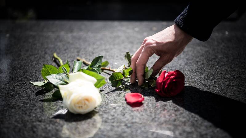 persona dejando una rosa en memoria de un fallecido querido