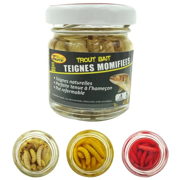 Teignes momifiées Truite Innovation 25 pièces