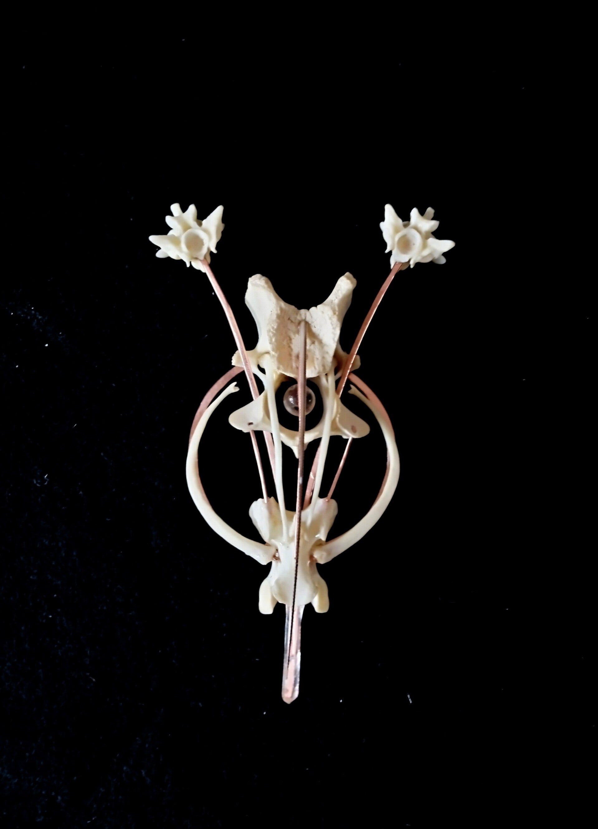 'lines of intention'