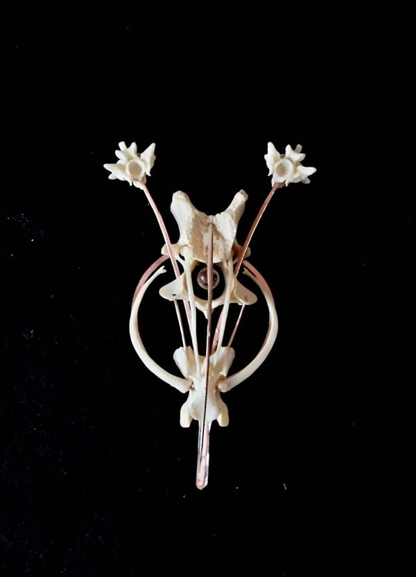 'lines of intention'