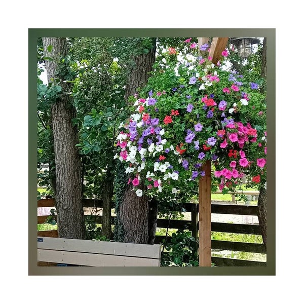 Bloemen
