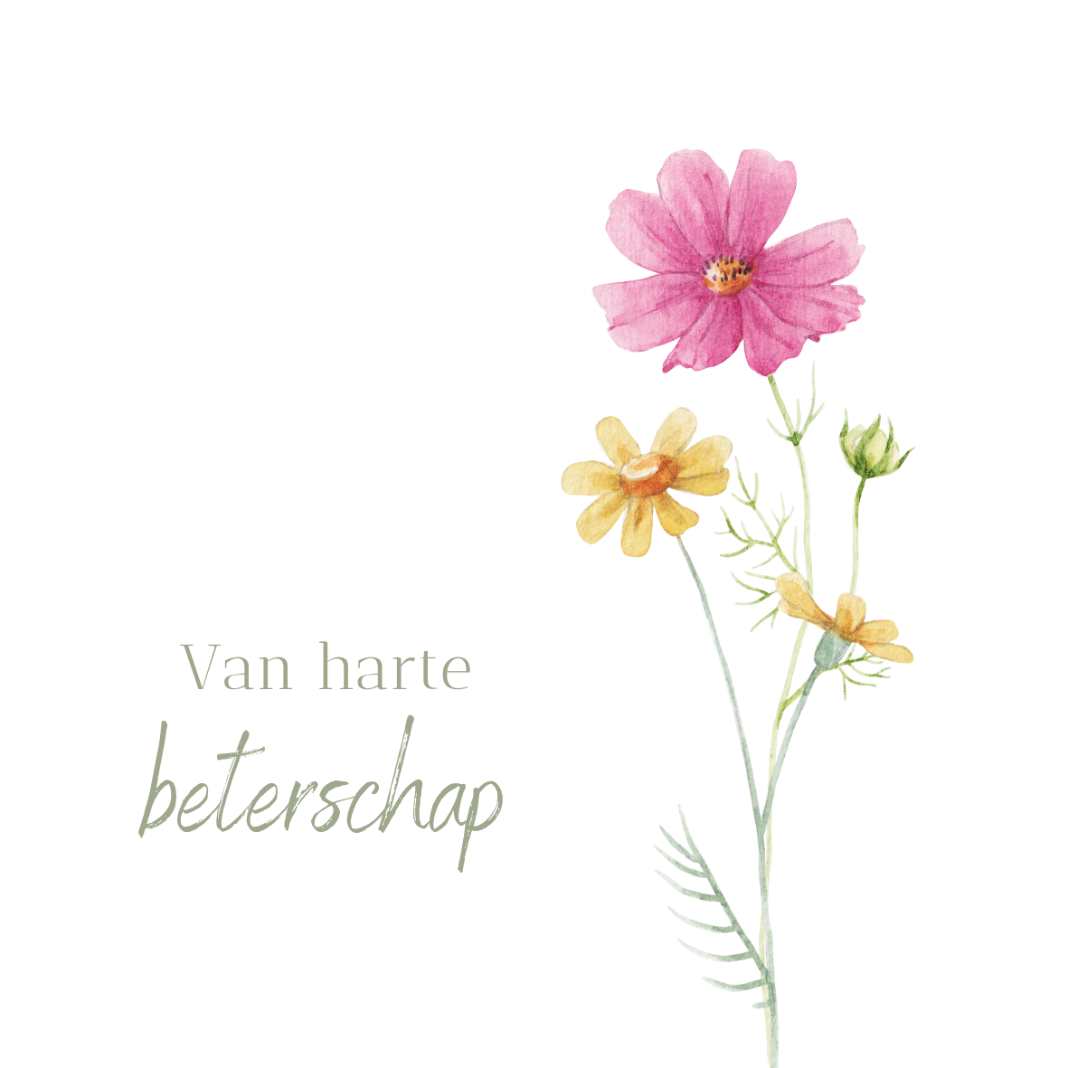 Beterschap-bloem