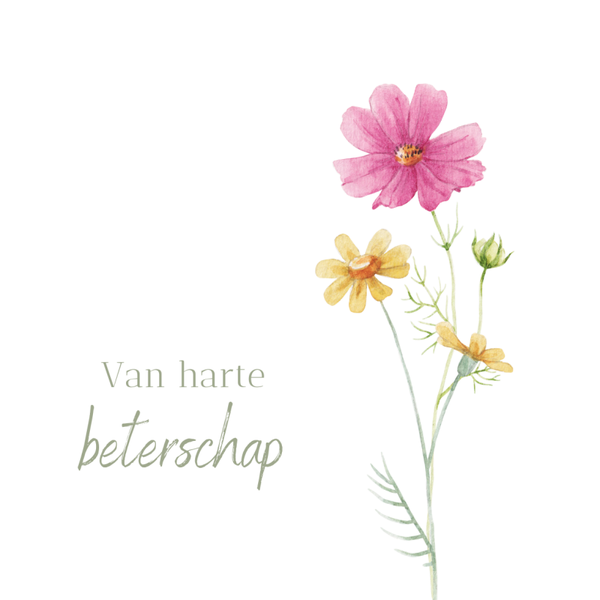 Bloem