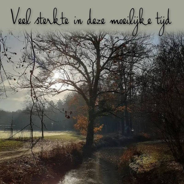 Landschap