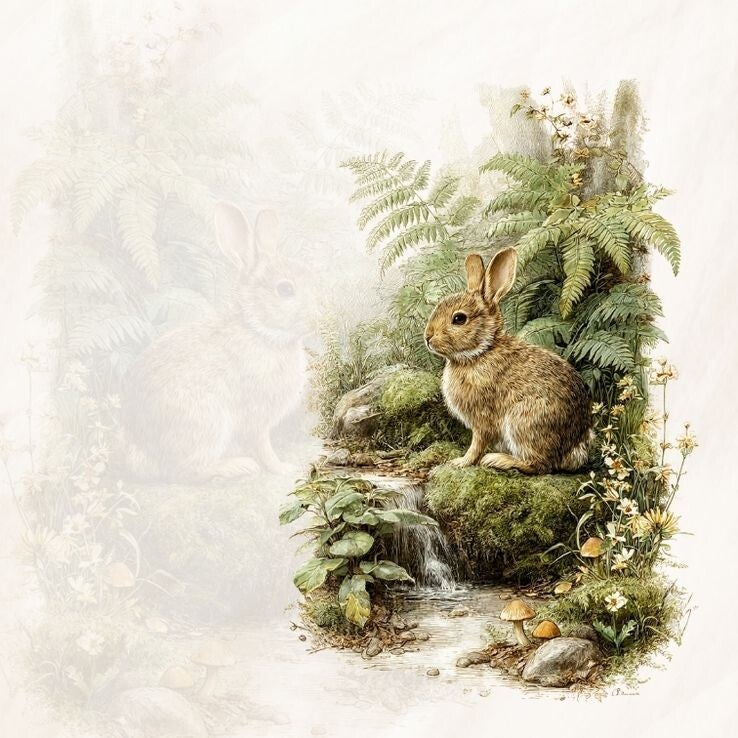 Blanco natuur konijn
