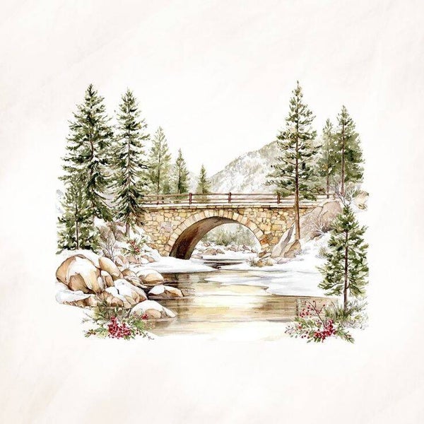 Brug over rivier