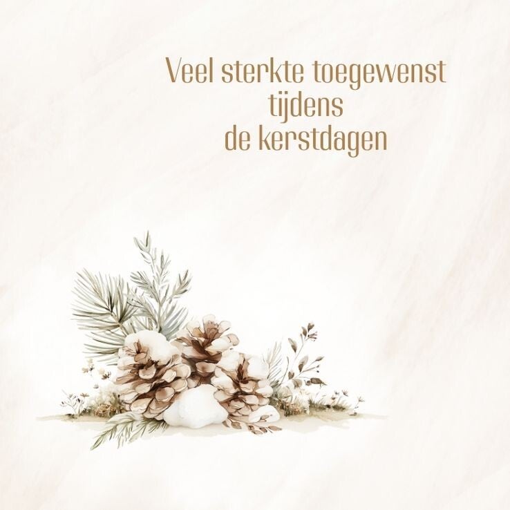 Dennenappels - sterkte kerstdagen
