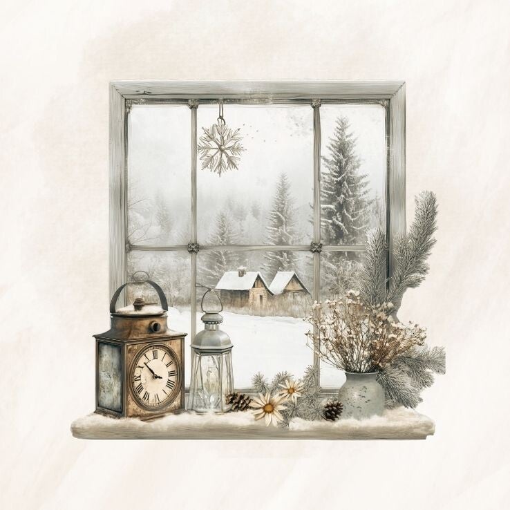 Raam winter 4