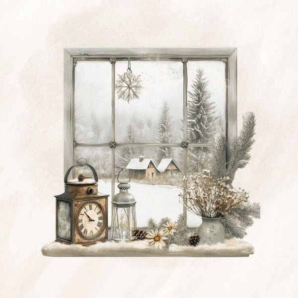 Raam winter 4