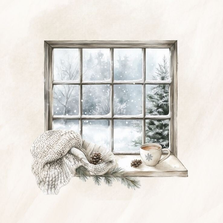 Raam winter 6