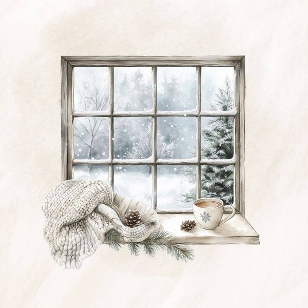 Raam winter 6
