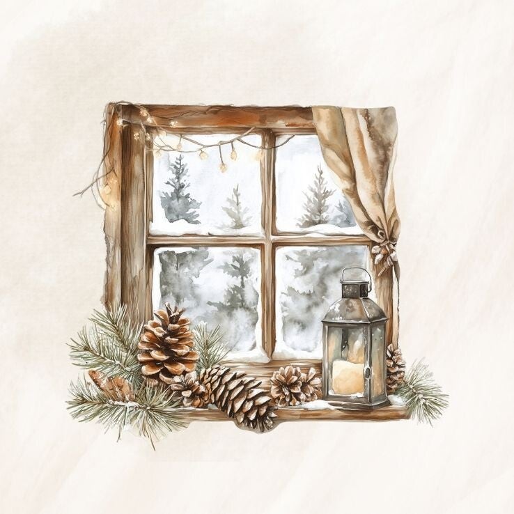 Raam winter 7