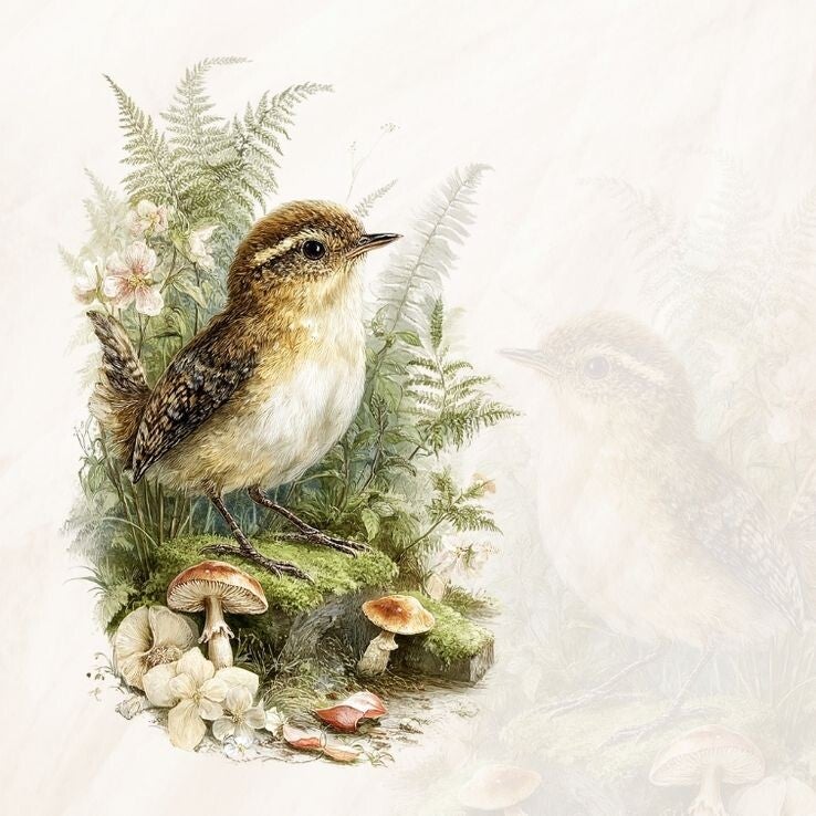 Blanco natuur vogel