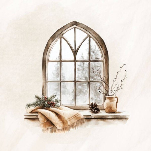 Raam winter 9