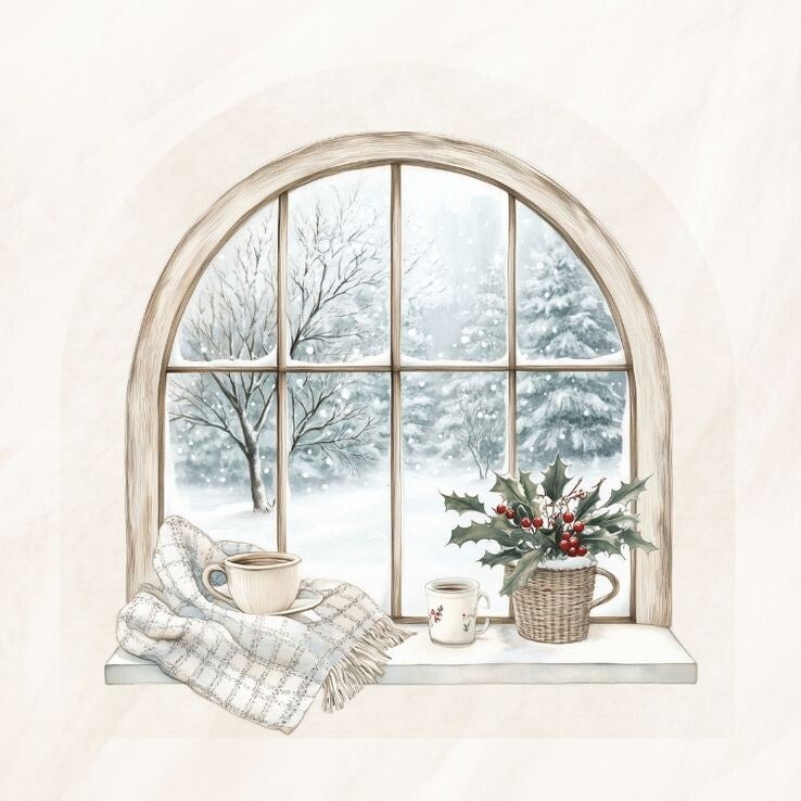 Raam winter 12