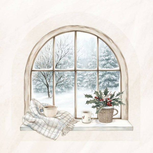 Raam winter 12
