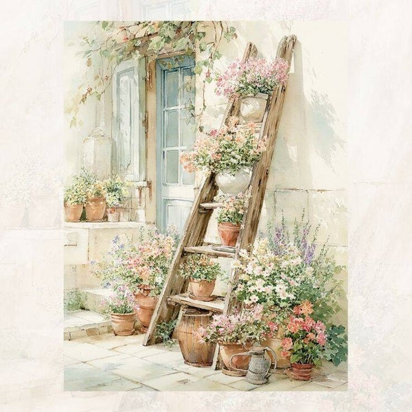 Blanco tuin met ladder
