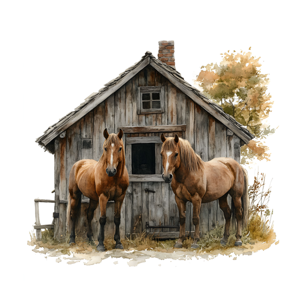 Paarden 5