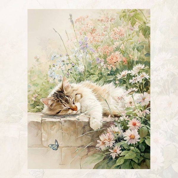 Blanco tuin met poes