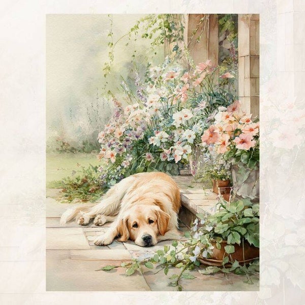 Blanco tuin met hond