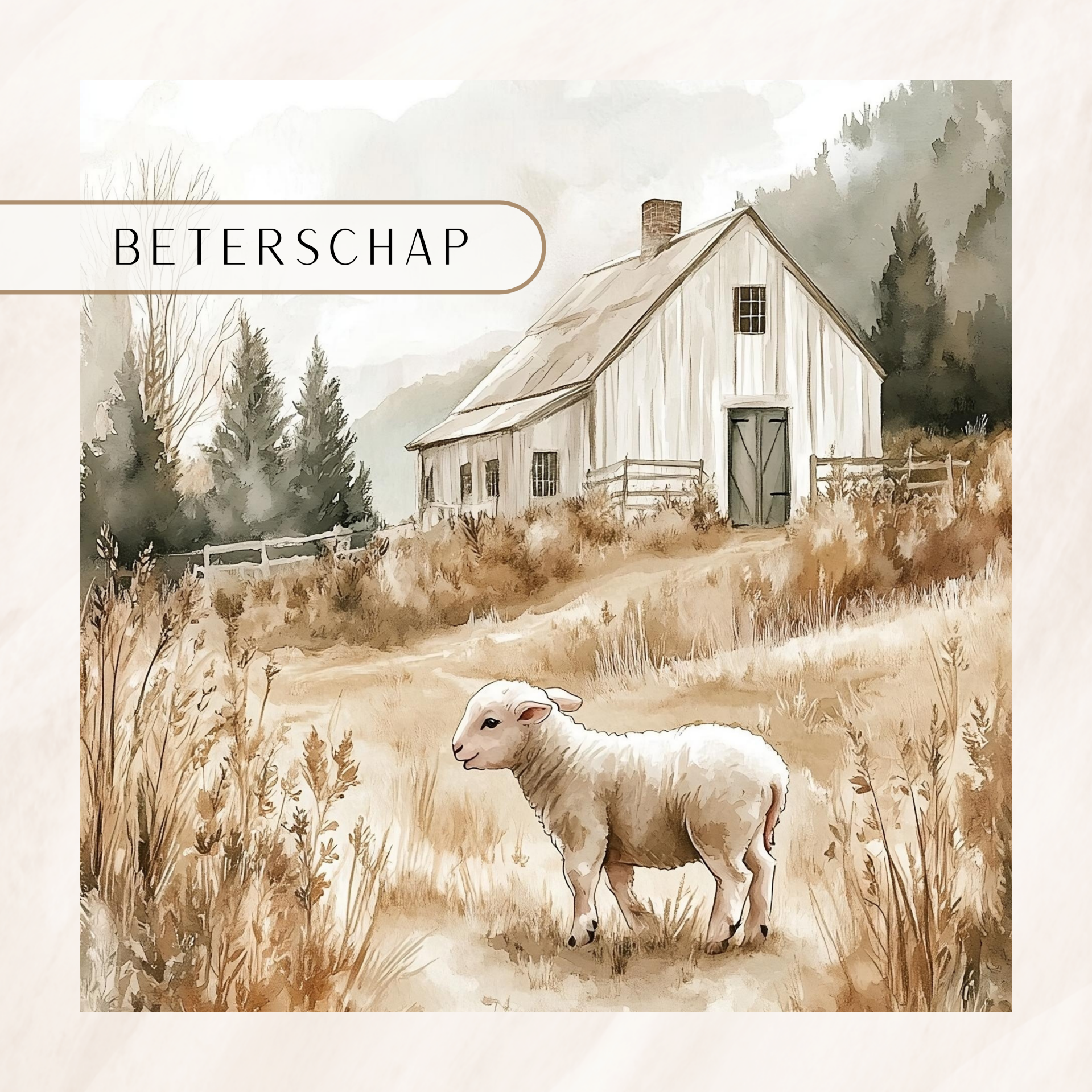 Beterschap-schaap