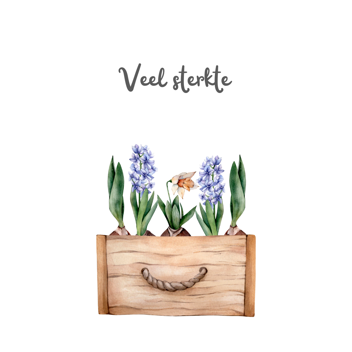 Sterkte bloembak