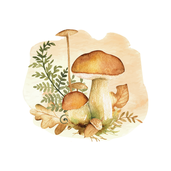 Paddestoelen
