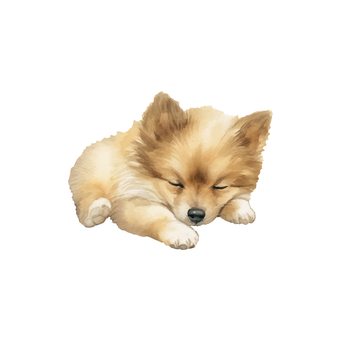 Honden 2
