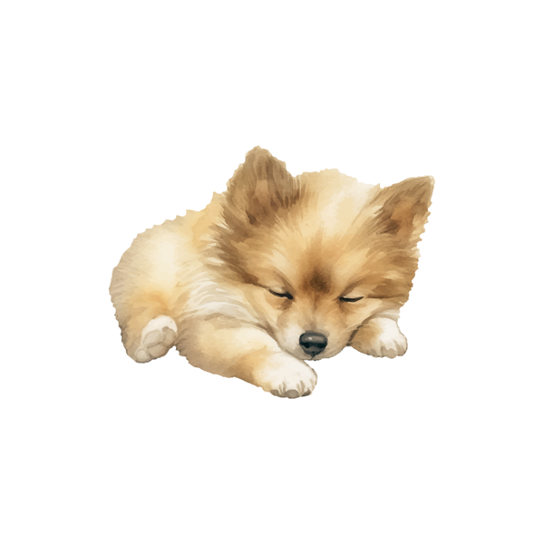 Honden 2