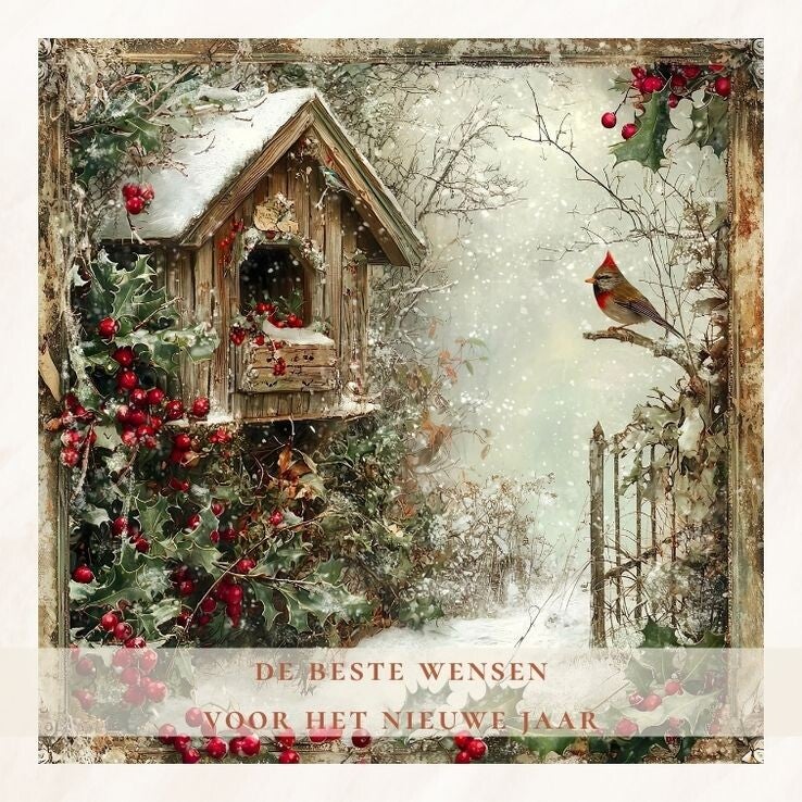Vogelhuisje winter - nieuwjaar