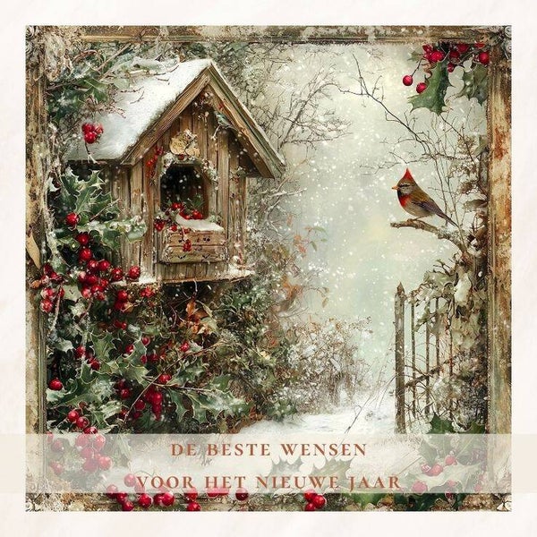 Vogelhuisje winter - nieuwjaar