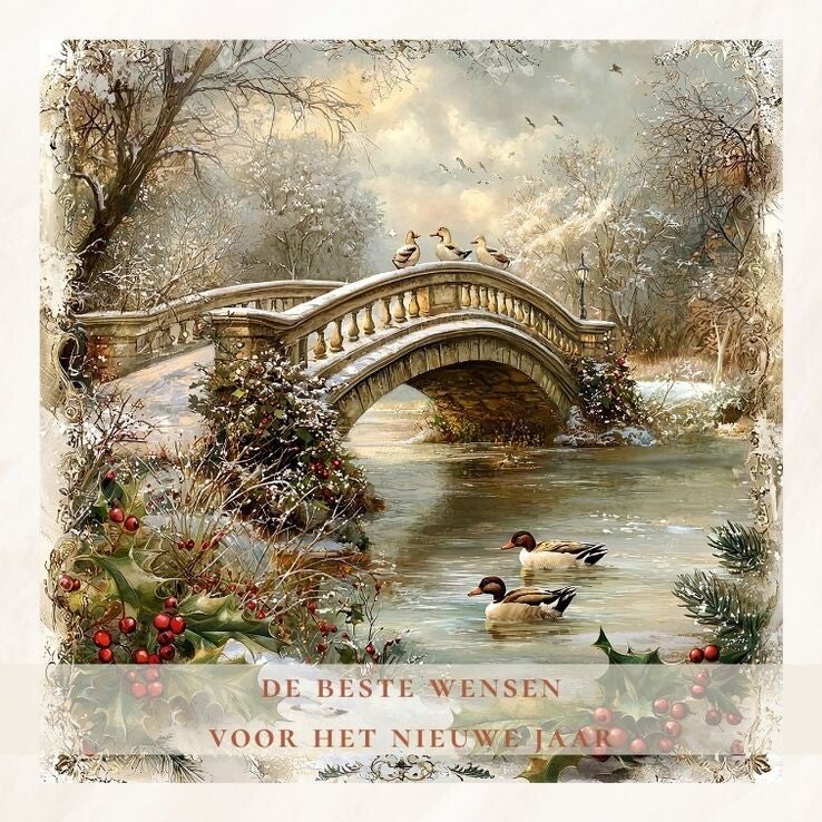 Stenen brug - nieuwjaar