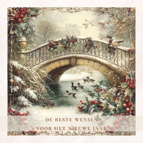 Brug winter - nieuwjaar