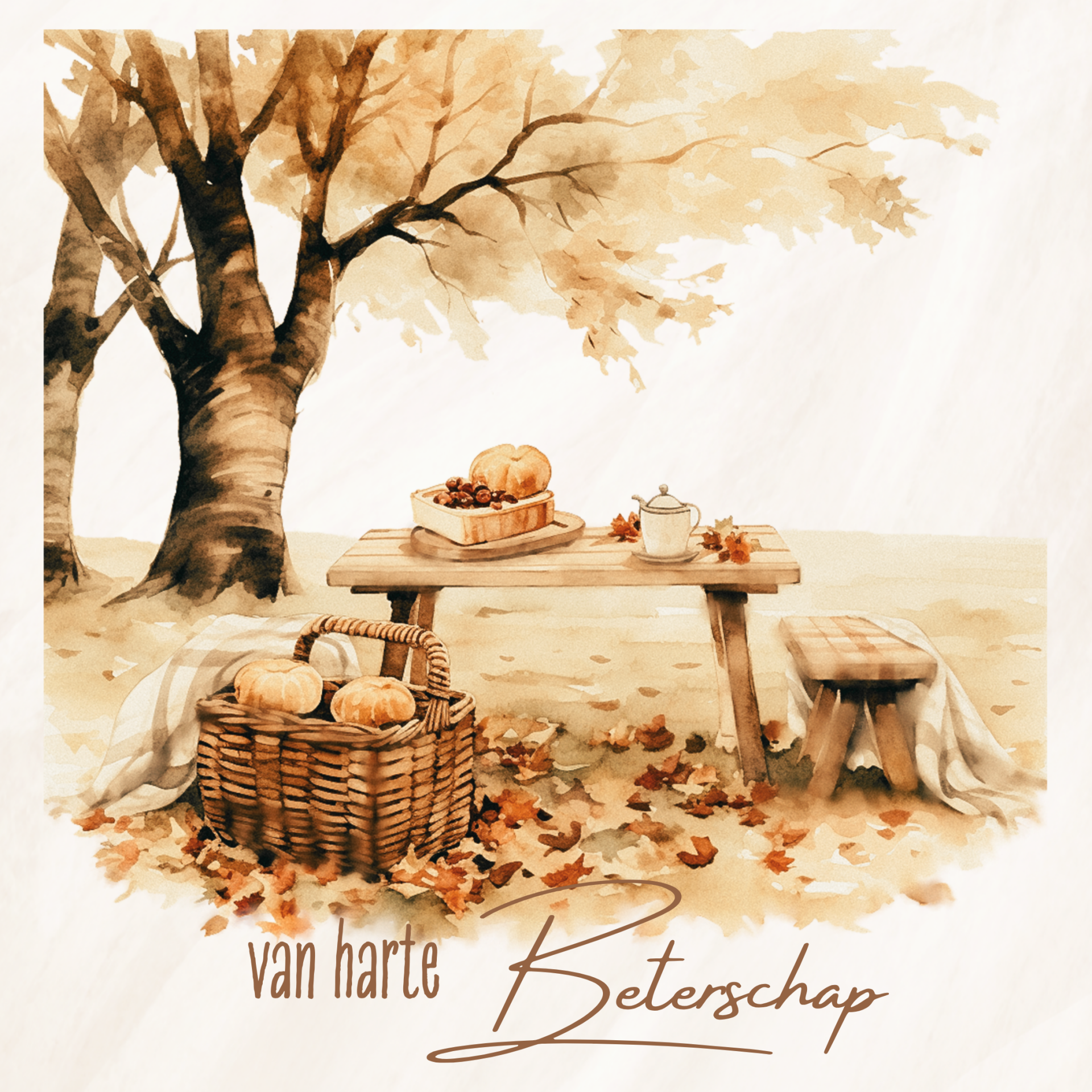 Beterschap-picknick