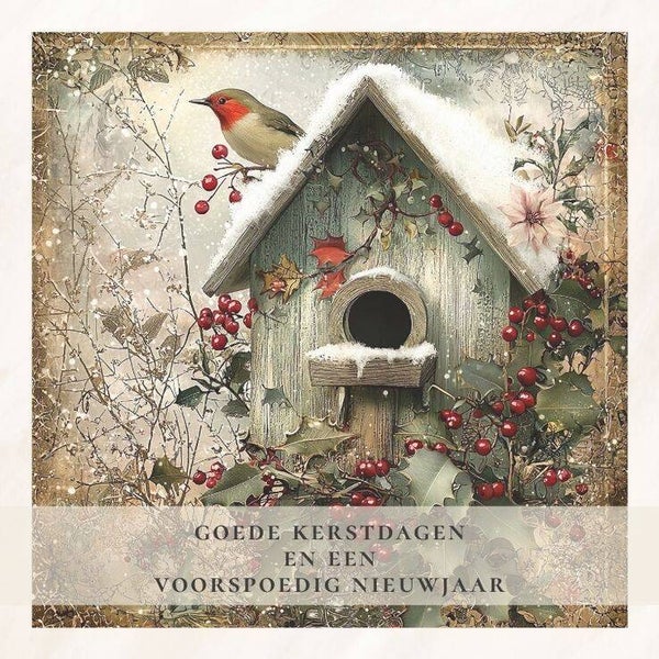 Vogelhuis met roodborstje - goede kerstdagen