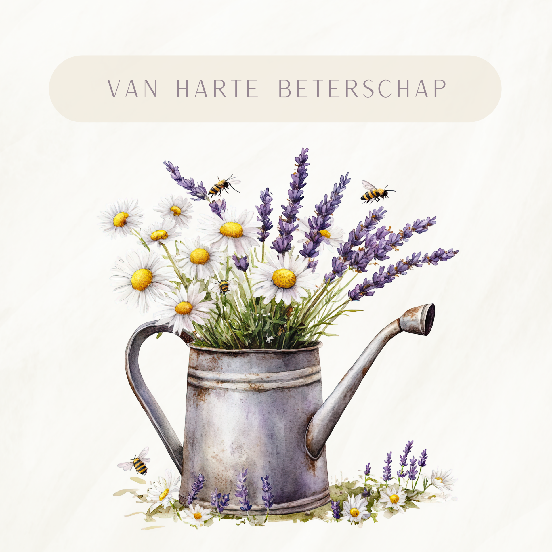 Beterschap-gieter lavendel