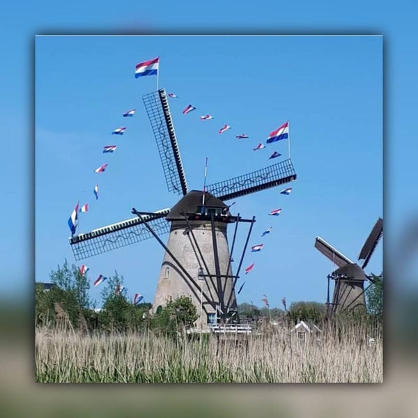 Molen