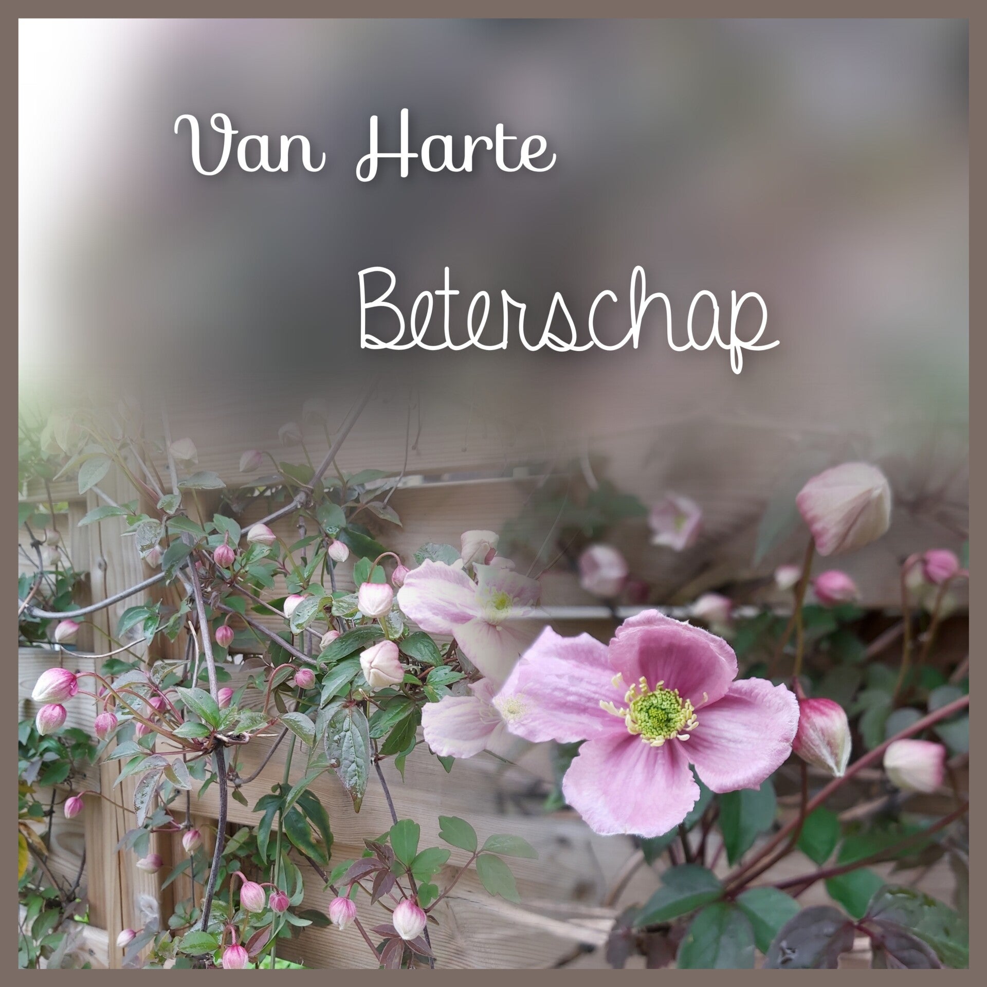 Roze bloemen
