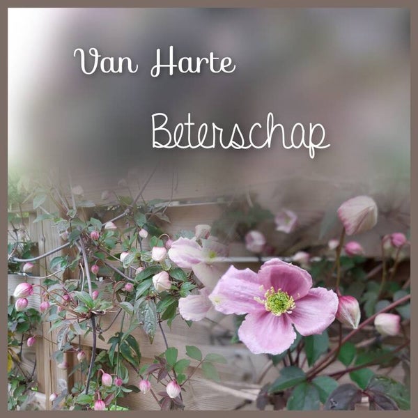 Roze bloemen