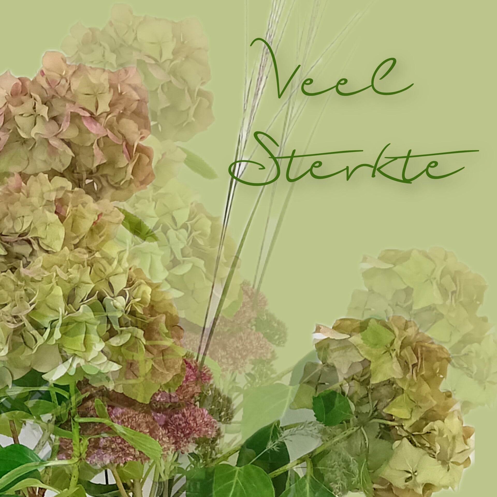 Bloemen
