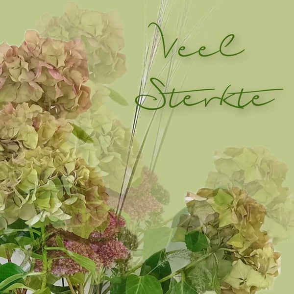 Bloemen