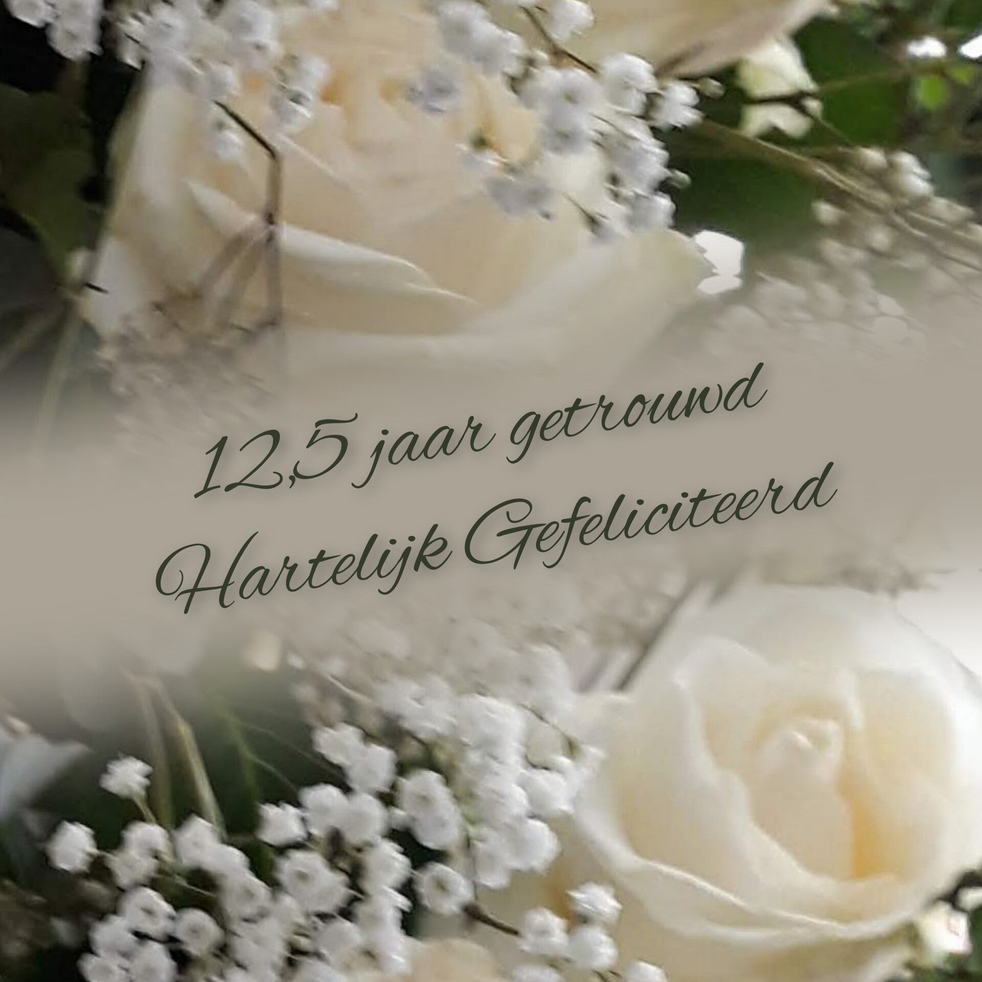 Witte rozen 12.5